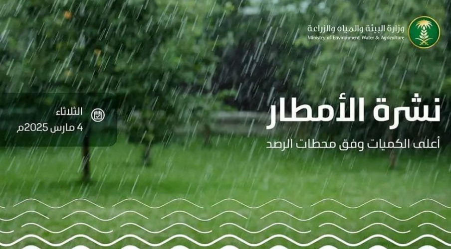 المدينة المنورة تسجل أعلى كمية لهطول الأمطار.. والبيئة ترصد أمطارًا في 6 مناطق