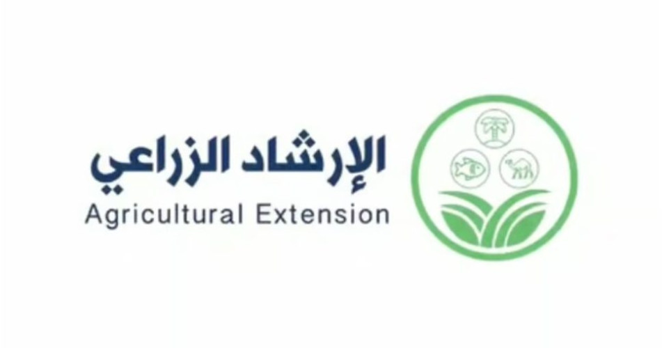 الإرشاد الزراعي: التجفيف الشمسي للبصل يعزّز قيمته ويزيد أرباح المزارعين