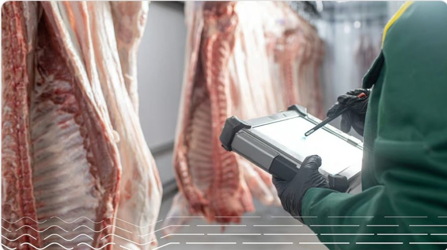 “البيئة” تعتمد الذكاء الاصطناعي لتعزيز الرقابة على المسالخ