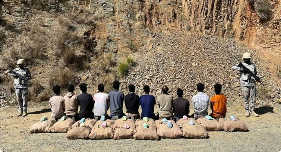 جازان.. حرس الحدود يقبض على 11 مخالفًا لتهريبهم 288 كلجم من نبات القات المخدر
