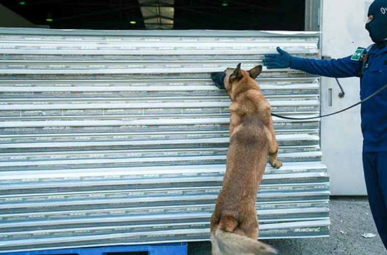 في قلب الألواح العازلة.. إحباط تهريب أكثر من 1.5 مليون حبة كبتاجون بميناء جدة