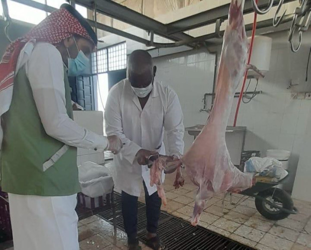 مكتب وزارة البيئة والمياه والزراعة بمحافظة العويقيلة يكثف رقابته الميدانية على سوق الماشية والمسلخ الأهلي