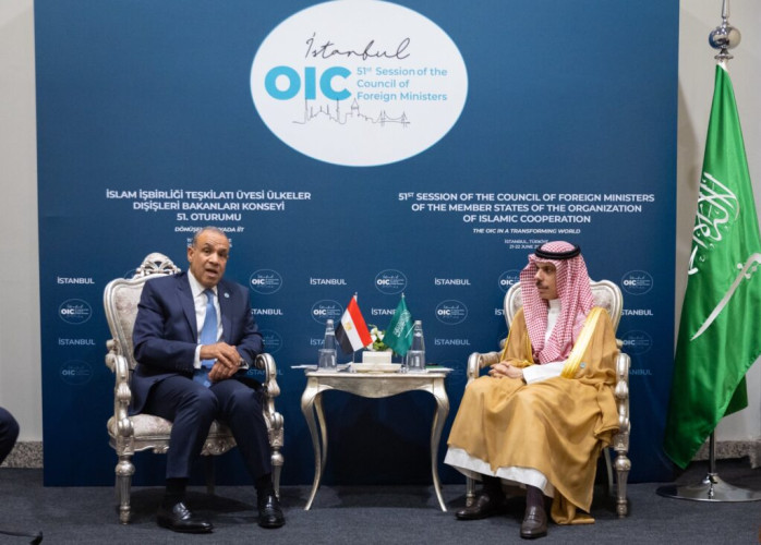 وزير الخارجية يلتقي وزير خارجية مصر