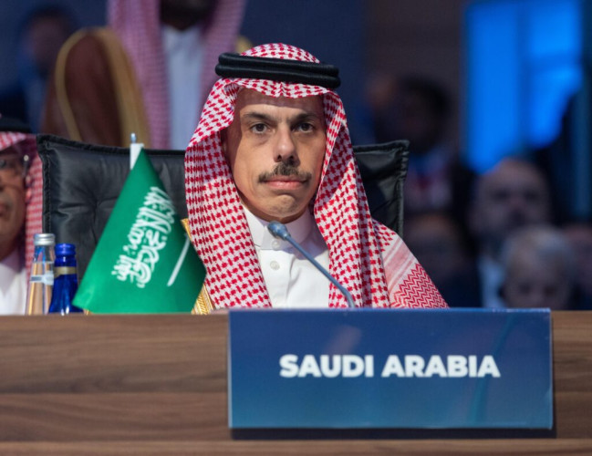 وزير الخارجية يشارك في الجلسة الافتتاحية لاجتماع منظمة التعاون الإسلامي