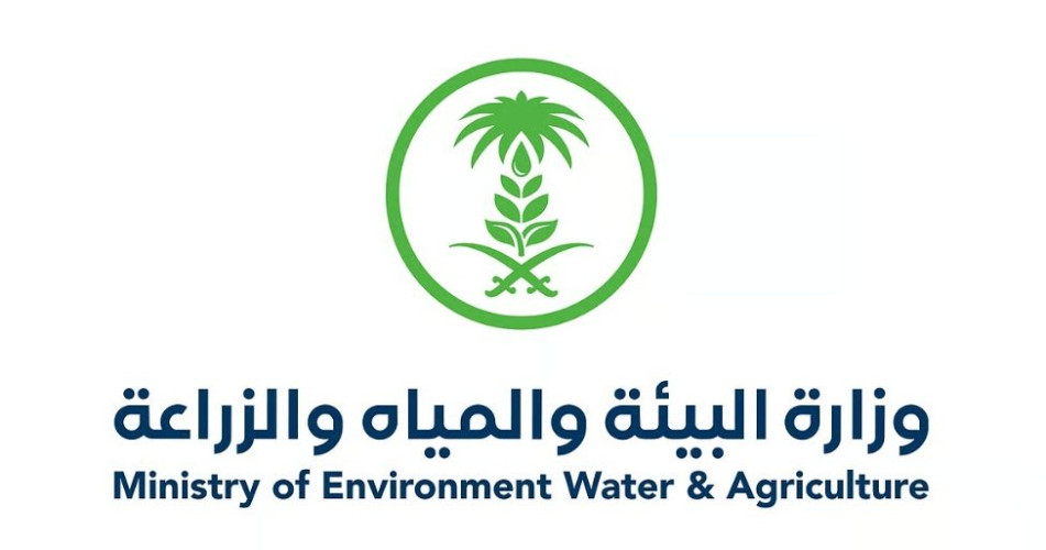 جازان .. المسالخ تستقبل أكثر من 23.300 أضحية خلال أيام عيد الأضحى