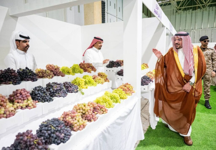 أمير القصيم يزور مهرجان العنب بالقصيم في نسخته الـ 12 بمركز البسيتين
