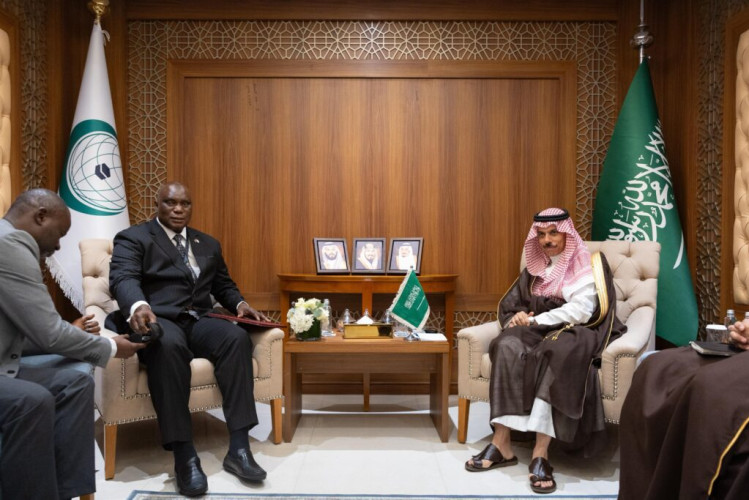 وزير الخارجية يلتقي وزير خارجية غامبيا، على هامش الدورة الاستثنائية الواحدة والعشرون لمجلس وزراء خارجية منظمة التعاون الإسلامي