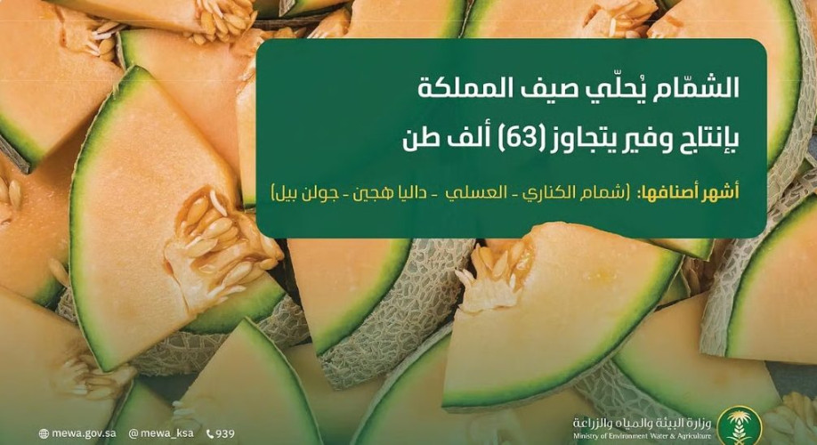 “الشمّام” يُحلّي صيف المملكة بإنتاج وفير يتجاوز 63 ألف طن سنويًا