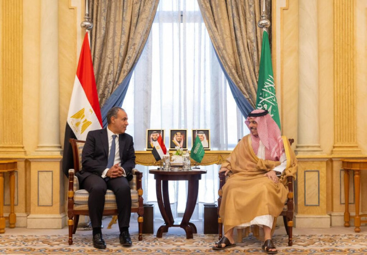 وزير الخارجية يستقبل وزير خارجية مصر
