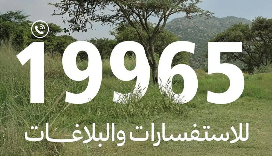 “الغطاء النباتي” يطلق خدمات الرقم الموحد 19965 لتلقي البلاغات والاستفسارات