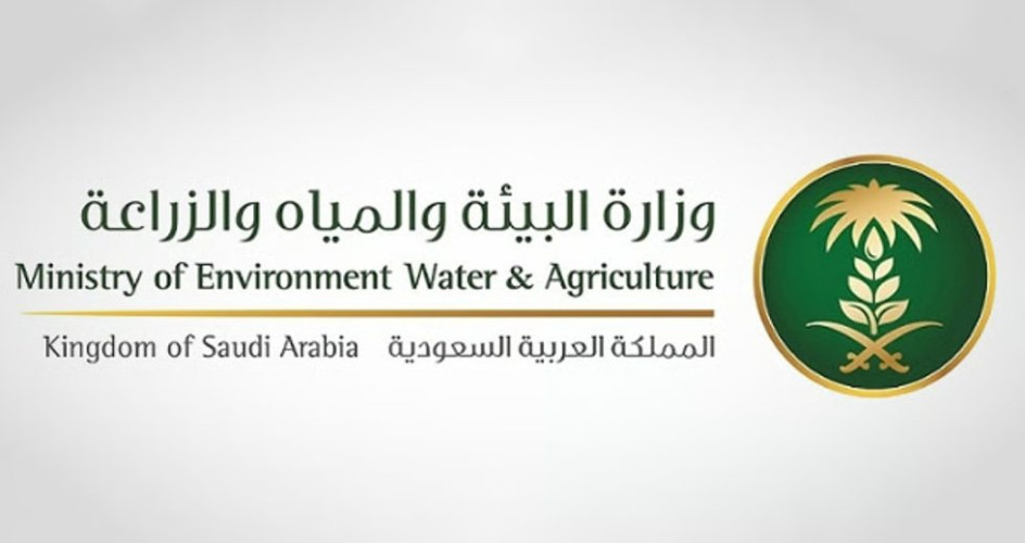 أبرزها التنظيف بالطحالب ..”البيئة” تعتمد 40 تقنية مبتكرة لمواجهة تحديات معالجة المياه وإعادة استخدامها