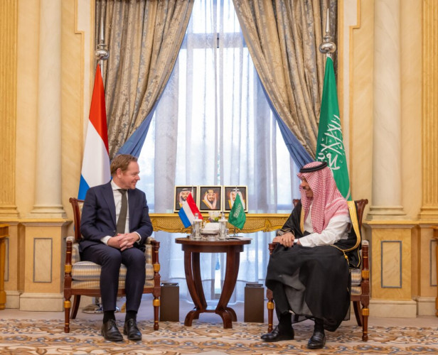 وزير الخارجية يستقبل وزير خارجية هولندا