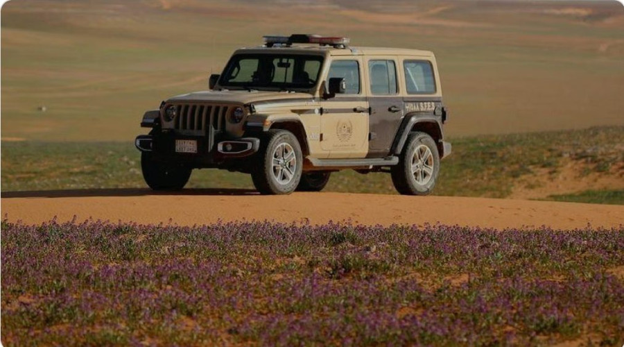 القوات الخاصة للأمن البيئي تضبط عددًا من المخالفين لنظام البيئة