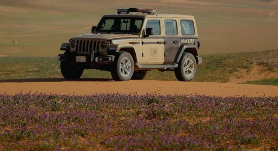 القوات الخاصة للأمن البيئي تضبط مخالفًا لنظام البيئة لارتكابه مخالفة التخييم في محمية الملك عبدالعزيز الملكية