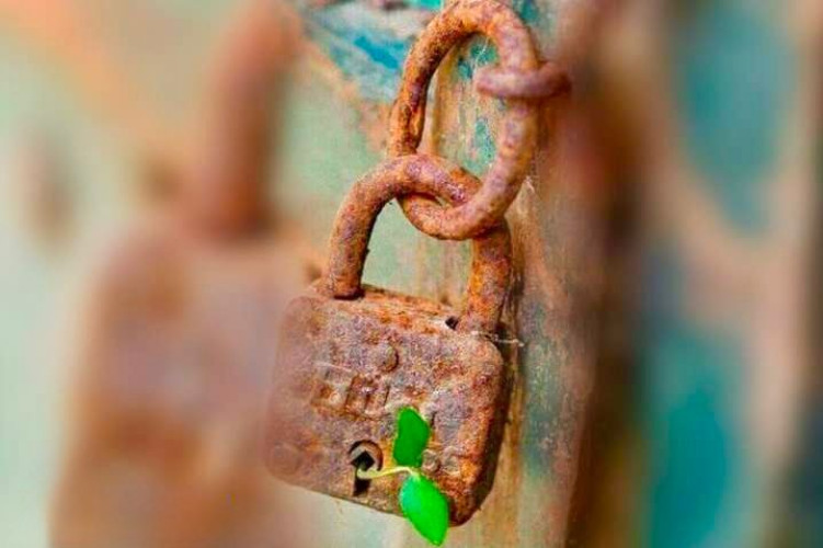 مالكم كيف تحكمون