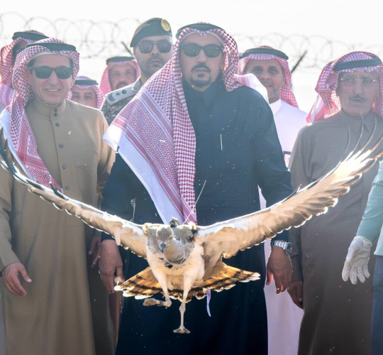 الأمير فيصل بن مشعل يُطلق (20) طائرًا من طيور الحبارى في متنزه القصيم الوطني