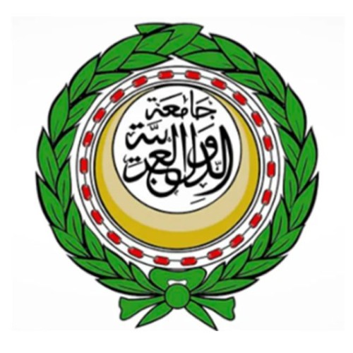 وزراء الخارجية العرب يوافقون بالإجماع على تعيين مرشح مصر نبيل فهمي أمينًا عامًا لجامعة الدول العربية