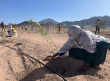 المركز الوطني لتنمية الغطاء النباتي و مكافحة التصحر يقدم مبادرة تشجير منتزه البيضاء