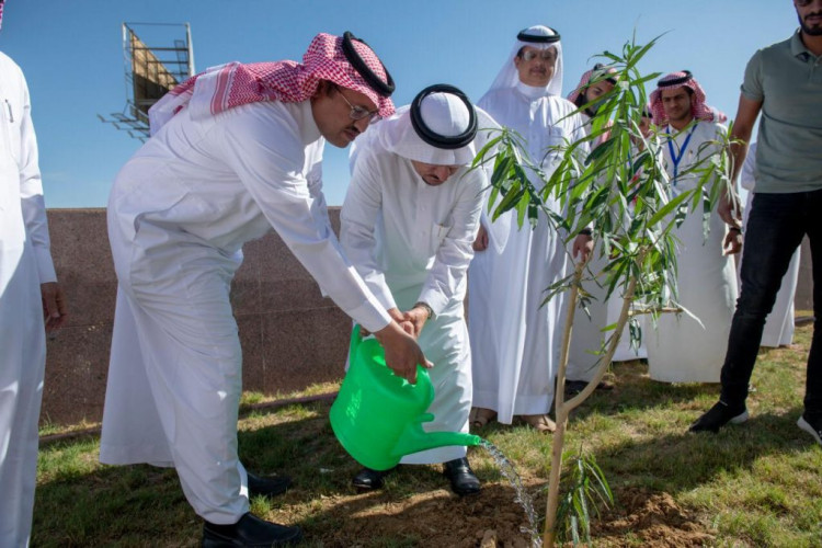 مدير جامعة الباحة يدشن حملة ” جامعتنا خضراء” بالمدينة الجامعية