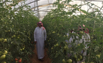 مدير فرع وزارة البيئه بمنطقة الجوف يتفقد المزارعين بمركز صوير