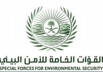“الأمن البيئي” تضبط مخالفَيْن لتخزينهما وبيعهما حطبًا محليًا في الرياض