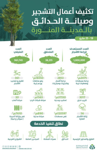 خلال أسبوع.. حدائق المدينة المنورة تتزين بأكثر من 2800 شجرة