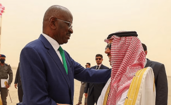 وزير الخارجية يصل إلى موريتانيا في زيارة رسمية