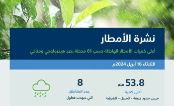 “البيئة”: أمطار متفرّقة في 8 مناطق.. والشرقية الأعلى بـ53.8 ملم في الجبيل