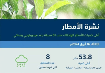 “البيئة”: أمطار متفرّقة في 8 مناطق.. والشرقية الأعلى بـ53.8 ملم في الجبيل