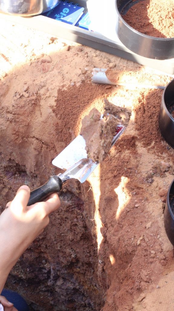 إدارة “تعليم الجوف” تختتم برنامج جلوب البيئي