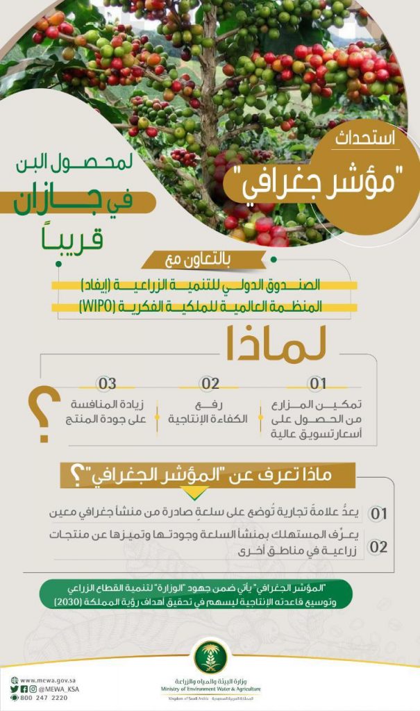 “البيئة”: استحداثُ “مؤشر جغرافي” لمحصول البن في جازان قريباً