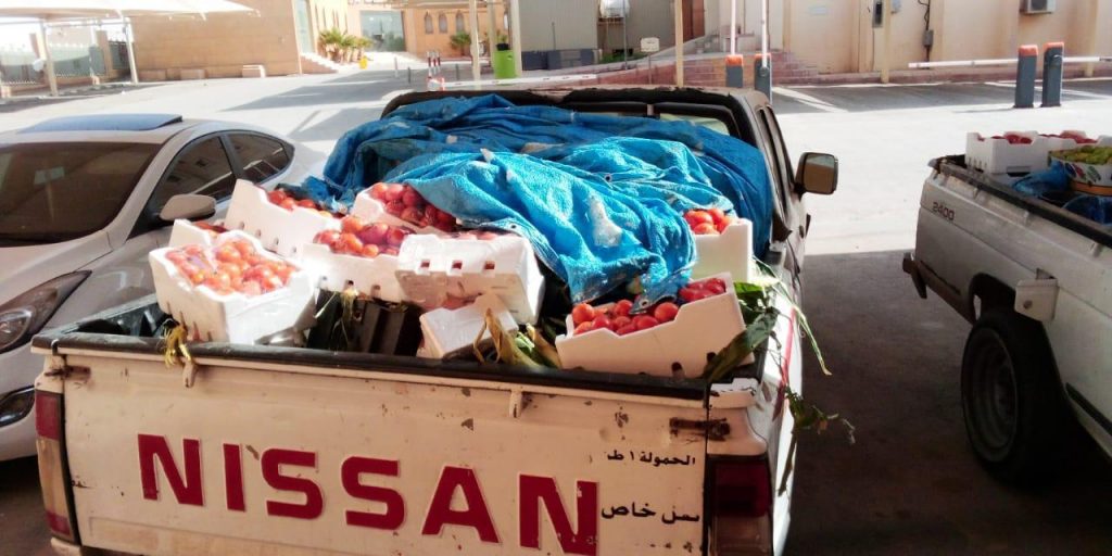 بلدية محافظة الخرج تصادر كميات من الخضروات