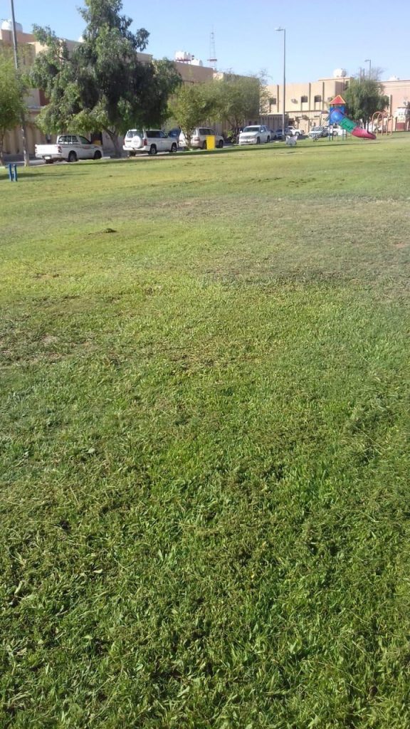 بلدية رفحاء تواصل صيانة الحدائق والمسطحات وتكثيف عمليات الإصحاح البيئي