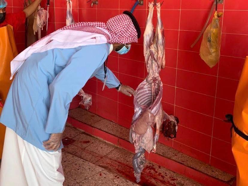 أمانة الجوف وبلدياتها : ذبح 3820 أضحية في أول أيام عيد الأضحى