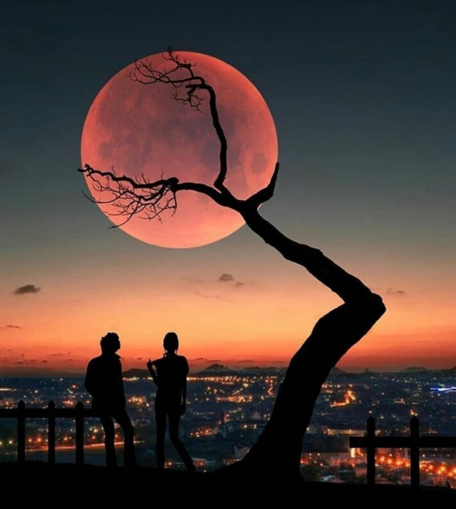 رفقا بالمشاعر