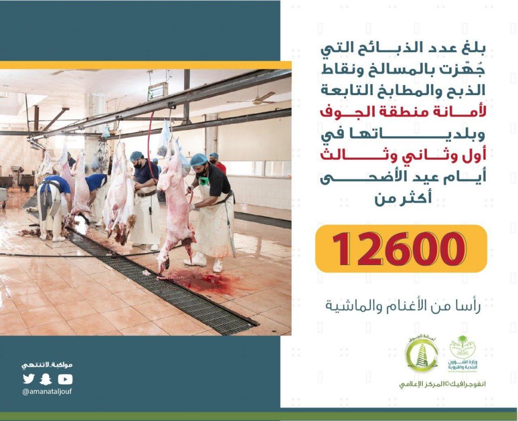 12600ذبيحة بمسالخ ومطابخ الجوف خلال أيام عيد الأضحى