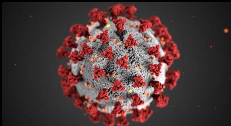 نسخة متحورة جديدة من فايروس كورونا رُصدت للمرة الأولى في كولومبيا نسخة متحورة جديدة من فايروس كورونا رُصدت للمرة الأولى في كولومبيا