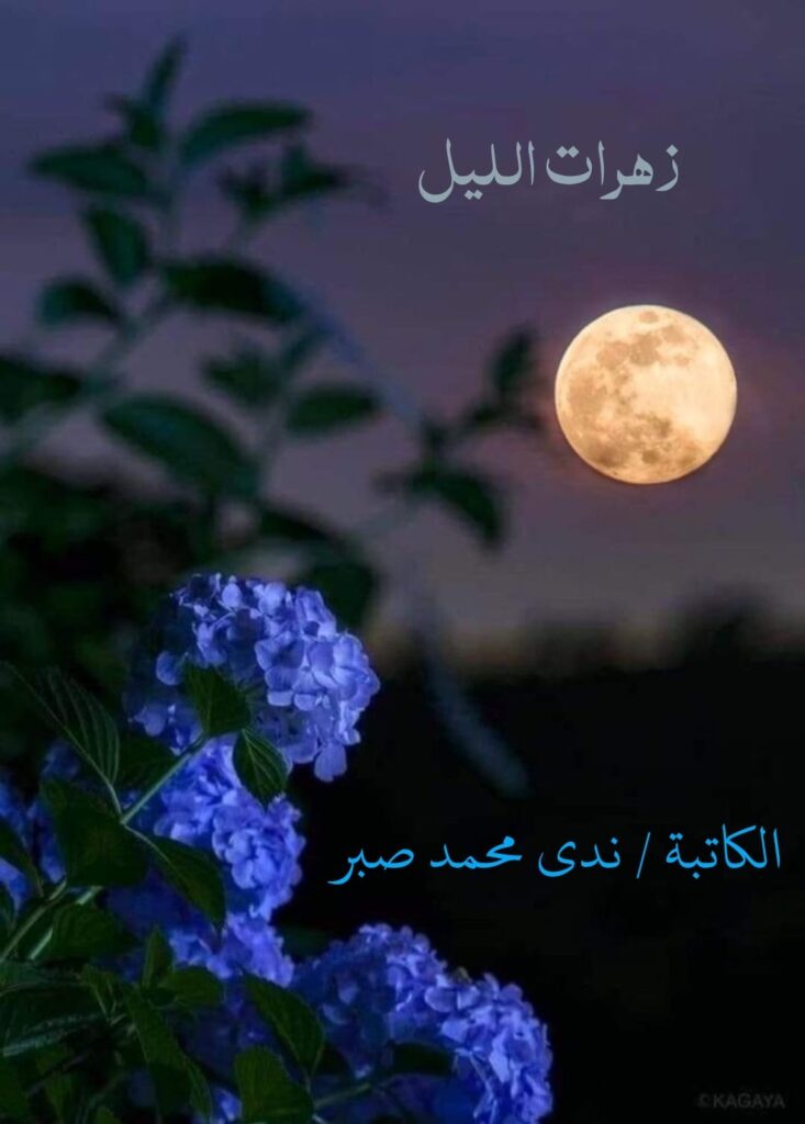 في سكون الليل حياة ،لفتيات اصبح التسكع اختيارا لهن