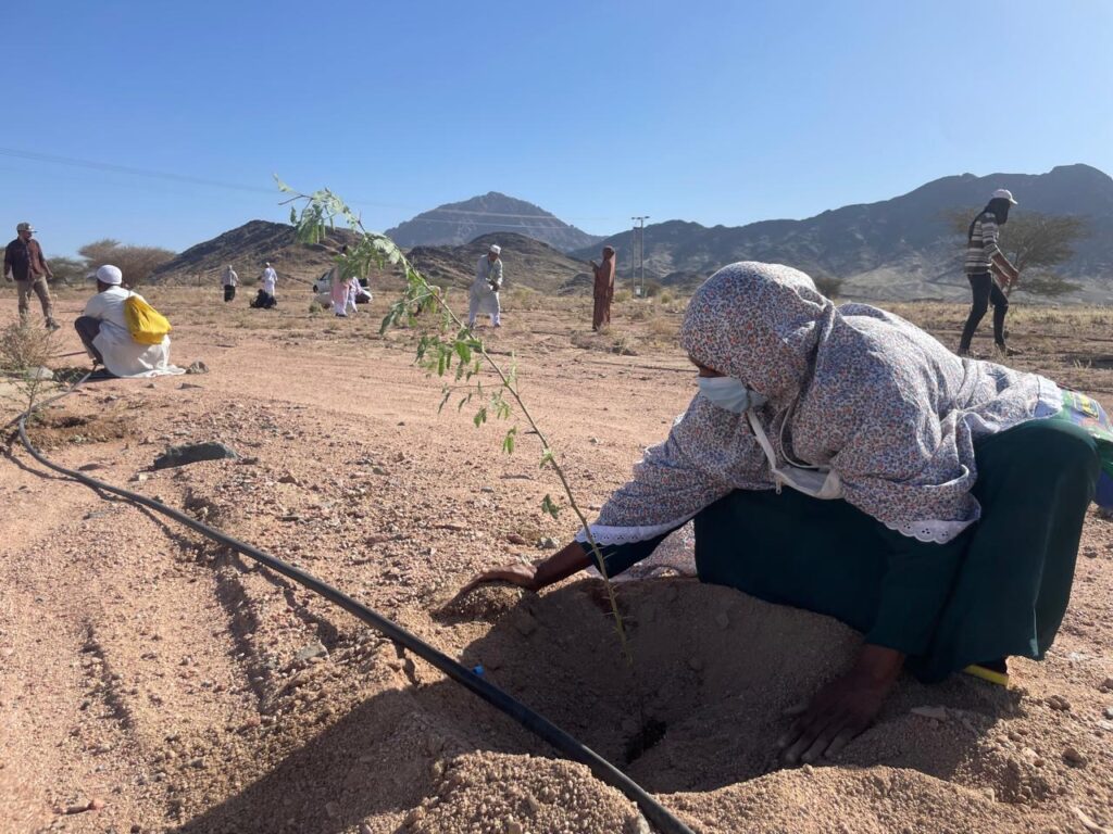 المركز الوطني لتنمية الغطاء النباتي و مكافحة التصحر يقدم مبادرة تشجير منتزه البيضاء
