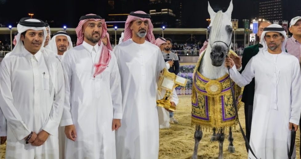في العاصمة الرياض.. وزير الرياضة “الفيصل” يشهد ختام منافسات الجولة النهائية للجياد العربية “GCAT”