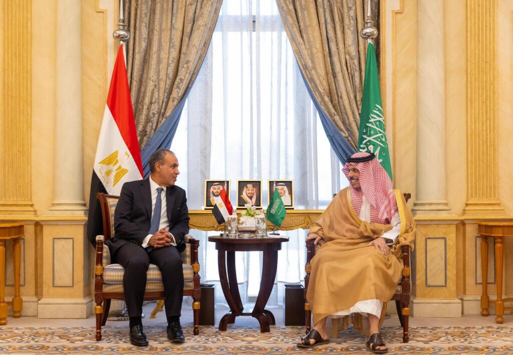 وزير الخارجية يستقبل وزير خارجية مصر