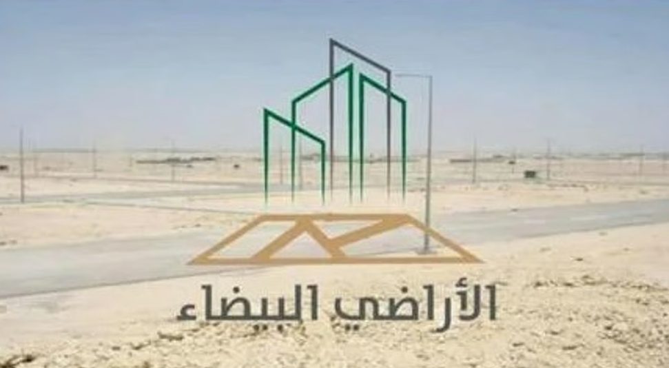 “الأراضي البيضاء والعقارات الشاغرة”: 20 يومًا على نهاية التسجيل.. والغرامات بانتظار المخالفين