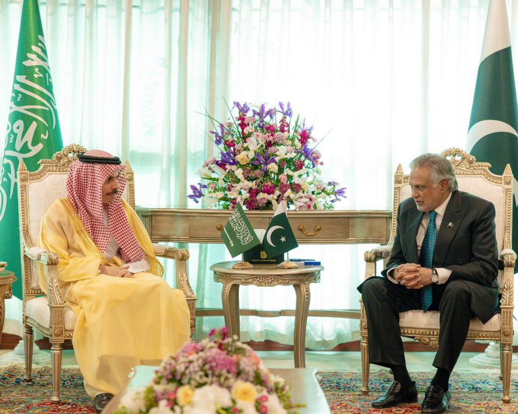 وزير الخارجية يلتقي نائب رئيس الوزراء وزير خارجية باكستان